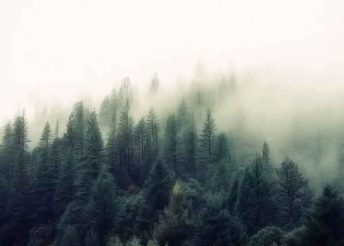 炸你妹在线轰炸